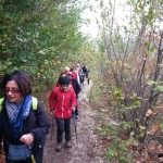 20131103_111722.jpg