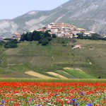 Castelluccio di Norcia