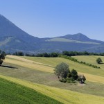 SanVicino_fb