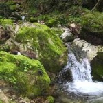 ValleScurosa_fb