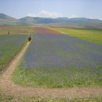 Castelluccio2015_39.jpg