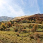 Montemonaco2017_10.jpg