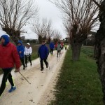 Treia2017_07.jpg