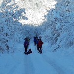 Serrapetrona2018_11.jpg