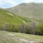 Castelluccio2021_04.jpg